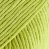MUSKAT UNI COLOUR 53 apple green [zelené jablko]