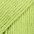 PARIS UNI COLOUR 39 wasabi [wasabi]